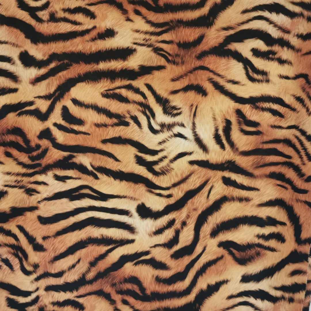 TIGRE